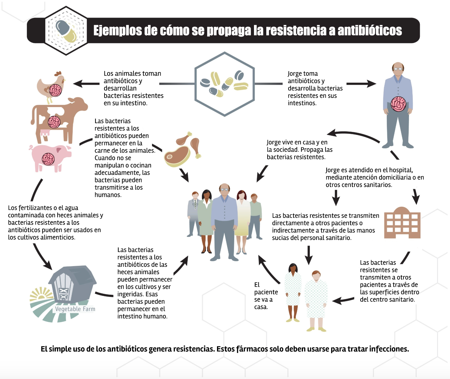Resistencia Bacteriana A Los Antibi ticos